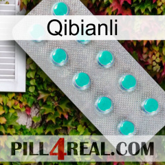 Qibianli 28